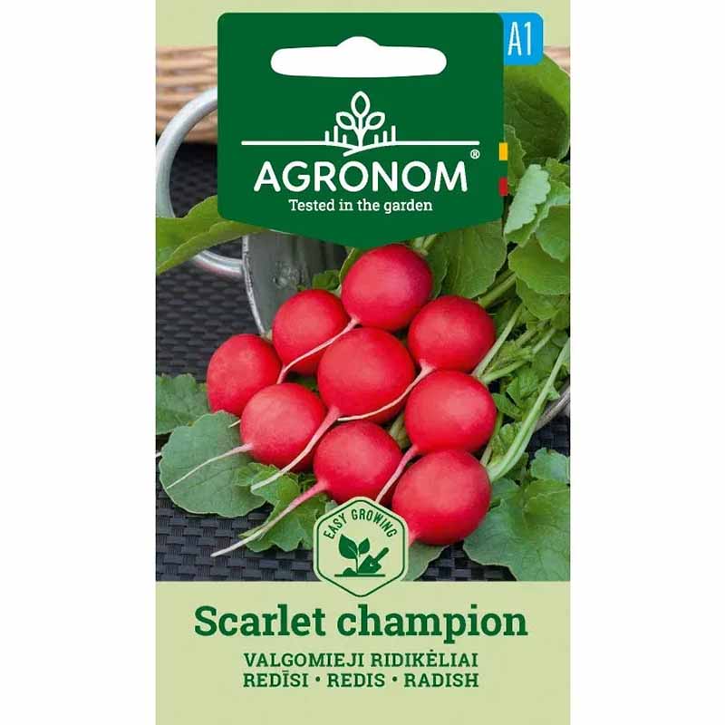 Radise 'Scarlet champion'