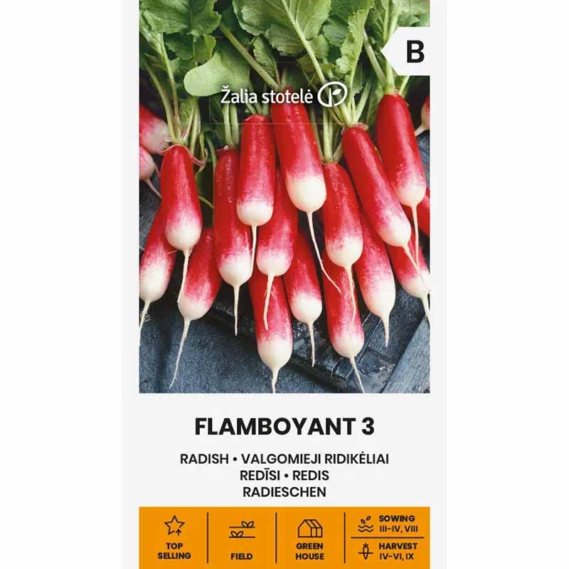 Radise 'Flamboyant 3'
