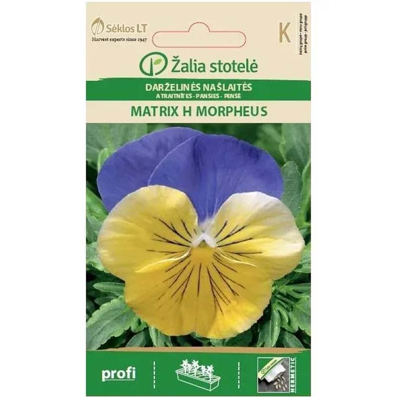 Stedmoderblomst 'Matrix H Morpheus'