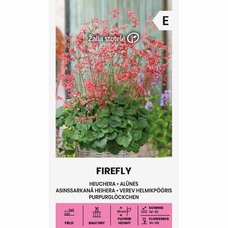 Alunrot 'Firefly'